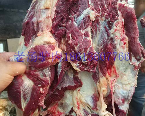 蒙古馬肉圖片/蒙古馬肉樣板圖 (2)