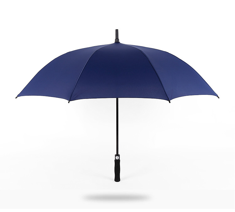 雨傘圖片/雨傘樣板圖 (2)