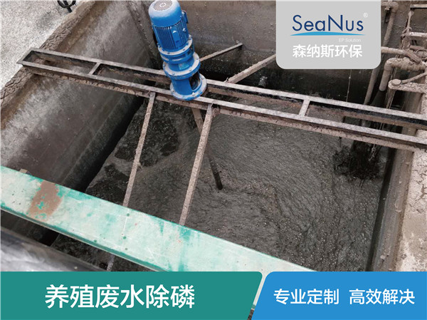 養(yǎng)殖廢水圖片/養(yǎng)殖廢水樣板圖 (1)