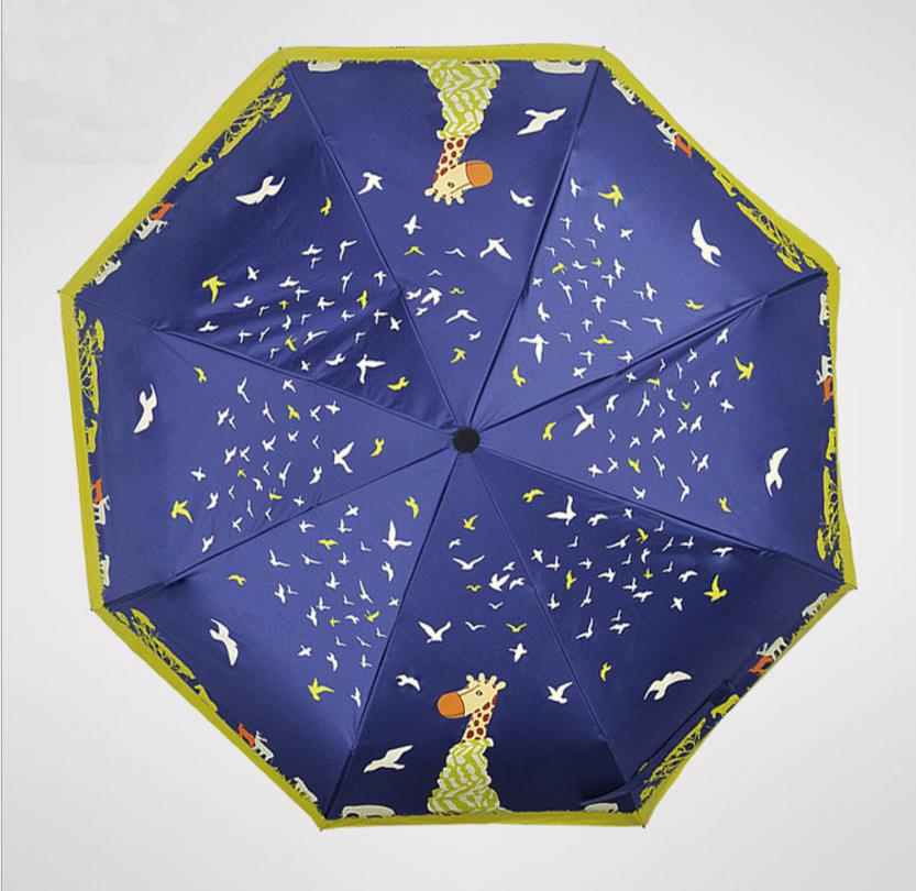 自動(dòng)雨傘圖片/自動(dòng)雨傘樣板圖 (2)