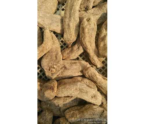 天麻圖片/天麻樣板圖 (2)