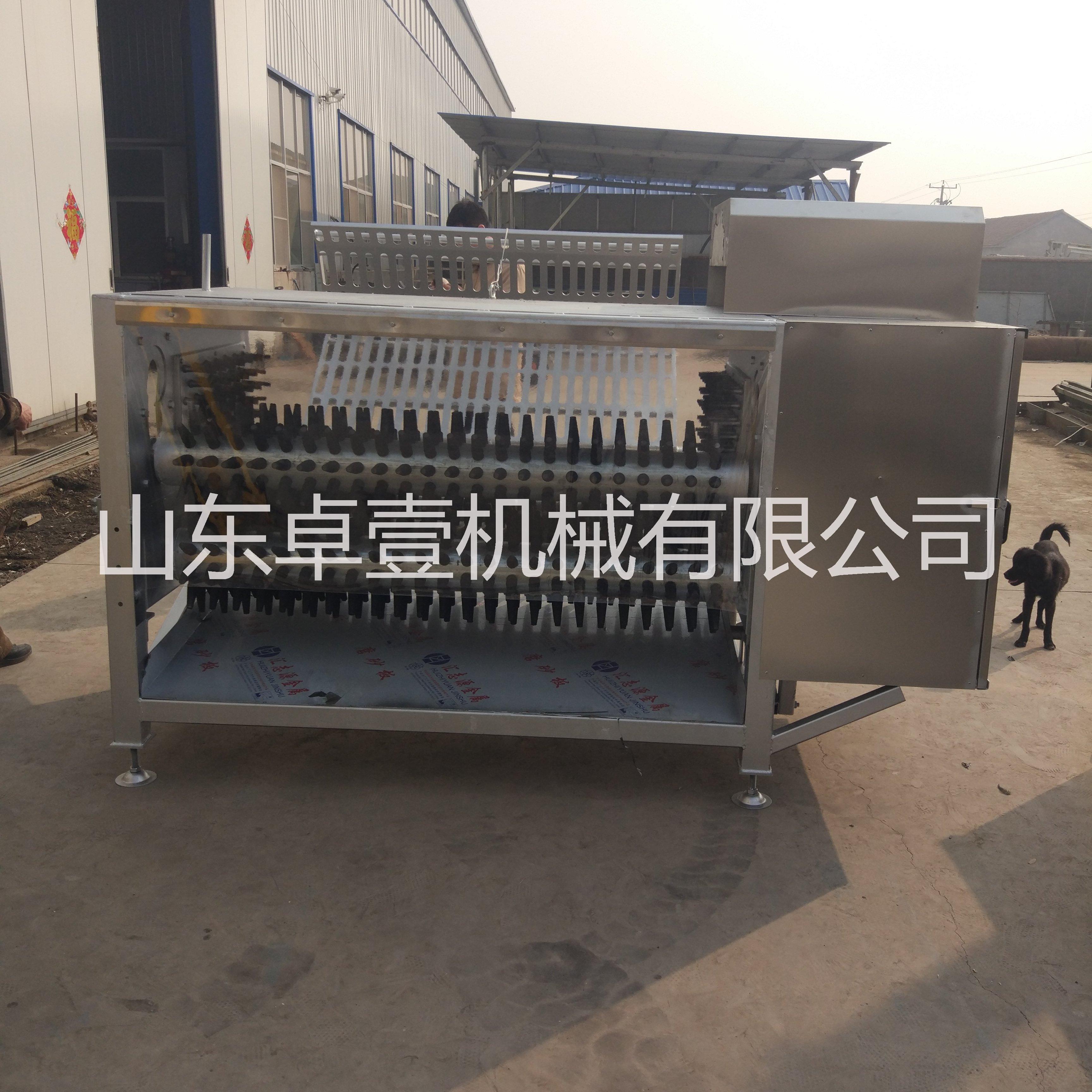 全自動(dòng)羊脫毛機(jī) 自動(dòng)液壓羊去毛機(jī)圖片/全自動(dòng)羊脫毛機(jī) 自動(dòng)液壓羊去毛機(jī)樣板圖 (4)