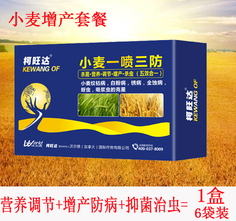 柯旺達(dá)小麥一噴三防 小麥增產(chǎn)套餐 營(yíng)養(yǎng)調(diào)節(jié) 抗病殺蟲(chóng)抗倒伏