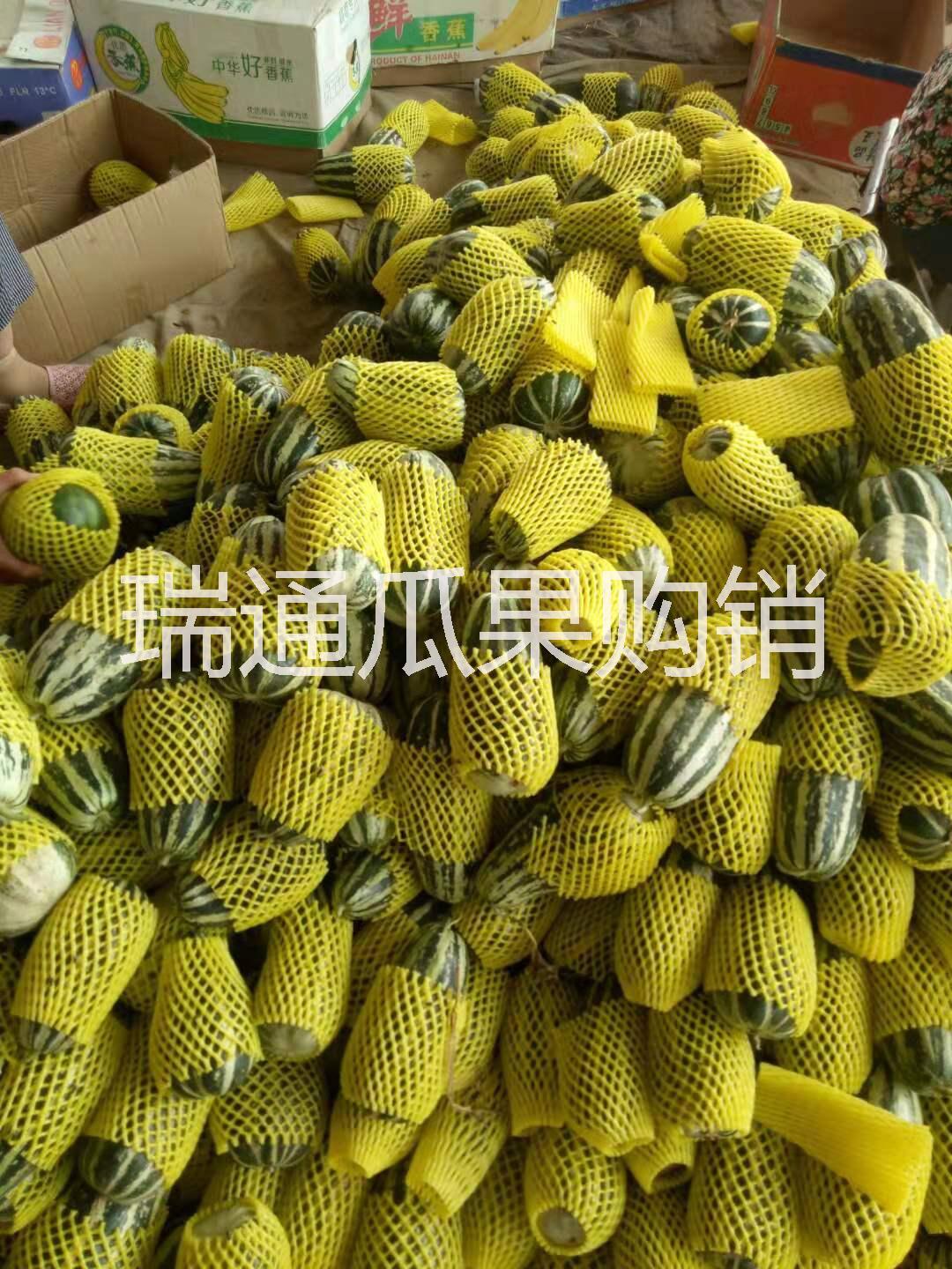 博洋9圖片/博洋9樣板圖 (3)