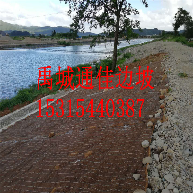 抗沖植草毯圖片/抗沖植草毯樣板圖 (1)
