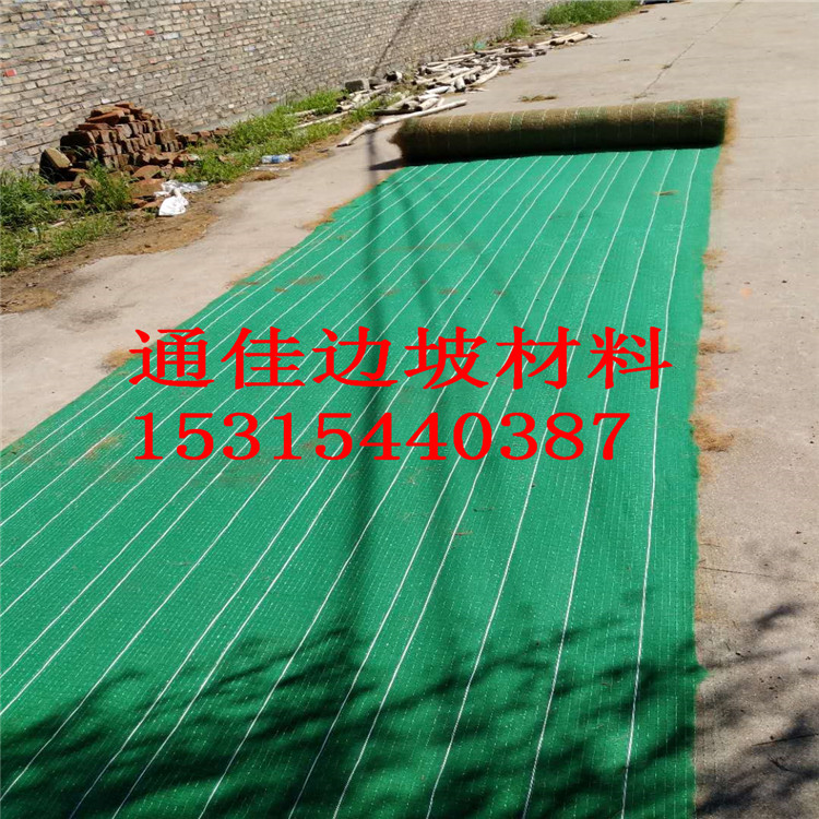 廠家直銷供應(yīng)湖南抗沖生態(tài)植被綠化毯 護(hù)坡生態(tài)毯