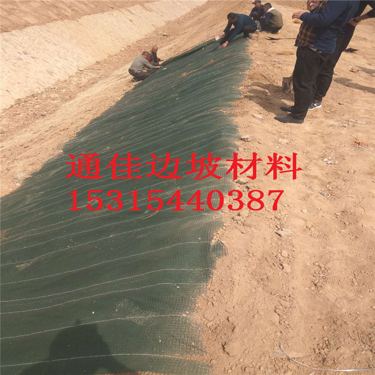 *四川環(huán)?？箾_生態(tài)毯  加筋防沖毯  環(huán)保綠化