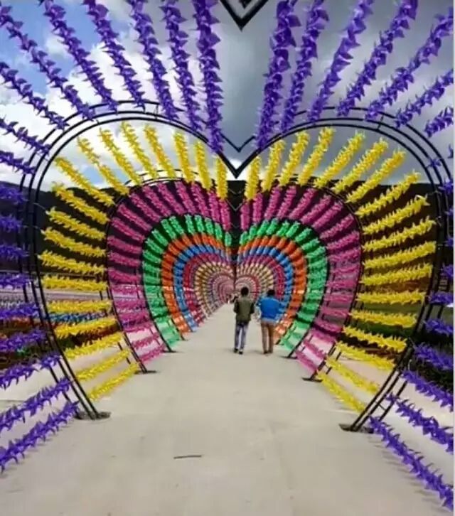 風(fēng)車展圖片