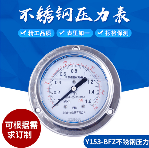 Y153-BFZ壓力表圖片/Y153-BFZ壓力表樣板圖 (2)