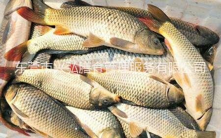 東莞專業(yè)蔬菜配送圖片/東莞專業(yè)蔬菜配送樣板圖 (4)