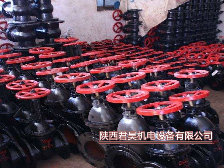 鑄鐵閘閥 截止閥圖片/鑄鐵閘閥 截止閥樣板圖 (2)