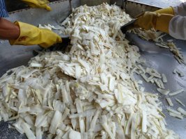 農家酸筍圖片/農家酸筍樣板圖 (4)