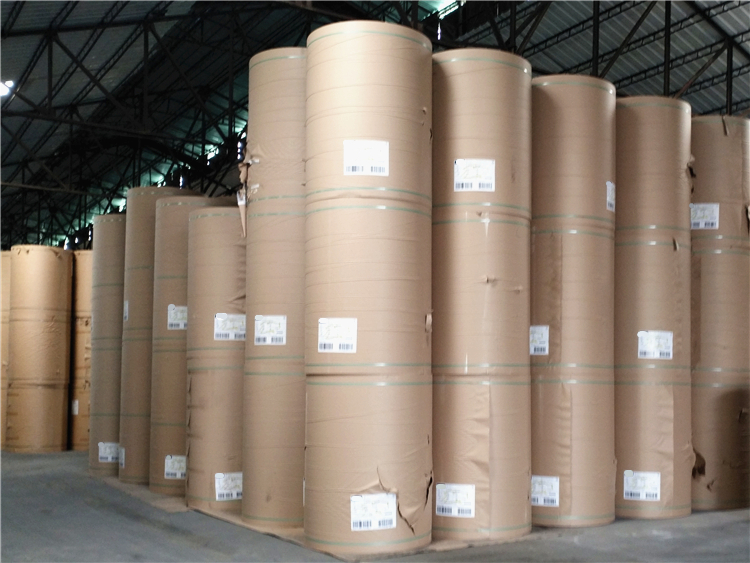 進口防水?？埨鋬鱿鋵Ｓ门？垐D片/進口防水牛卡紙冷凍箱專用?？垬影鍒D (2)