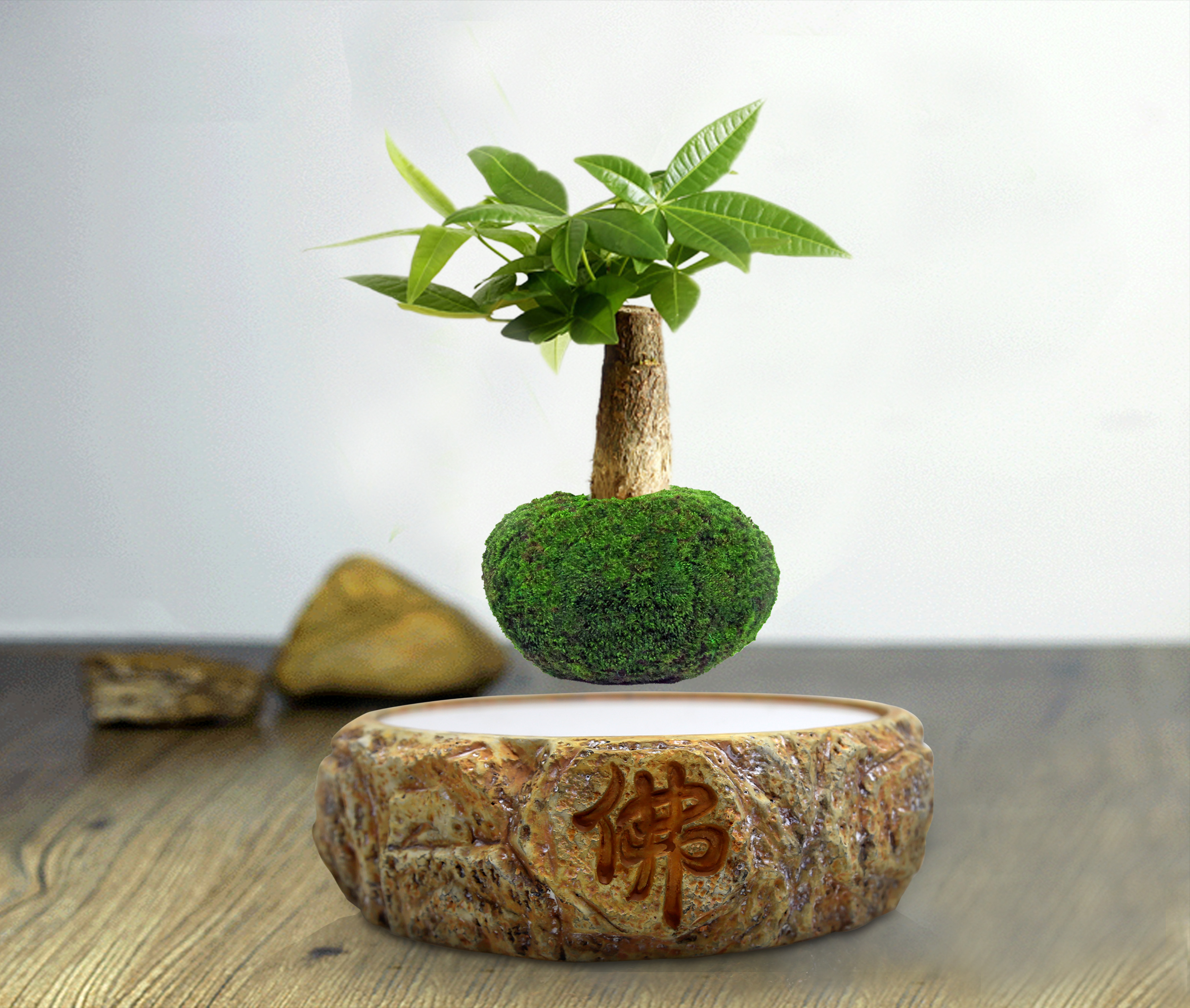 磁懸浮定制圖片/磁懸浮定制樣板圖 (2)