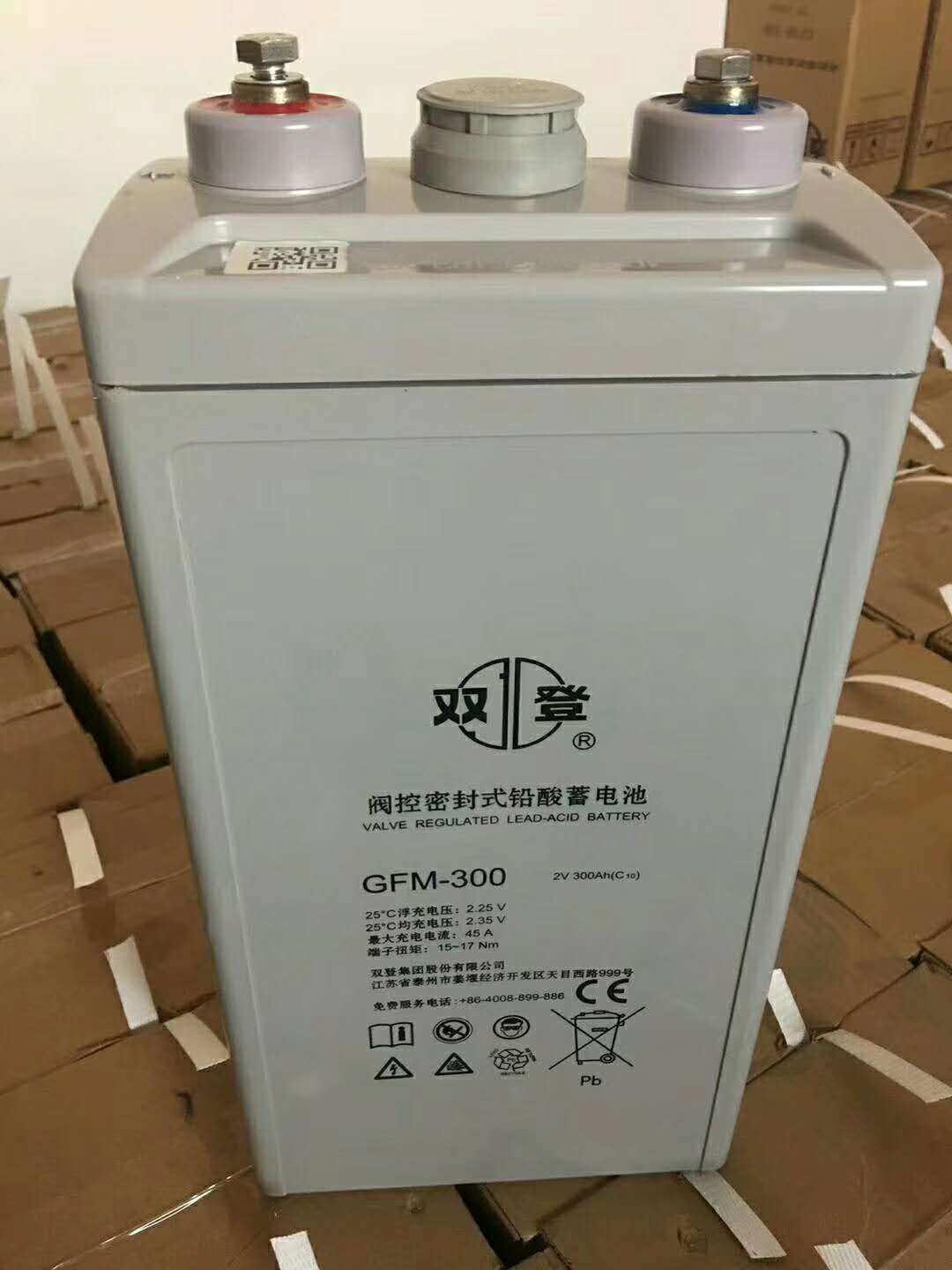 雙登蓄電池圖片/雙登蓄電池樣板圖 (2)