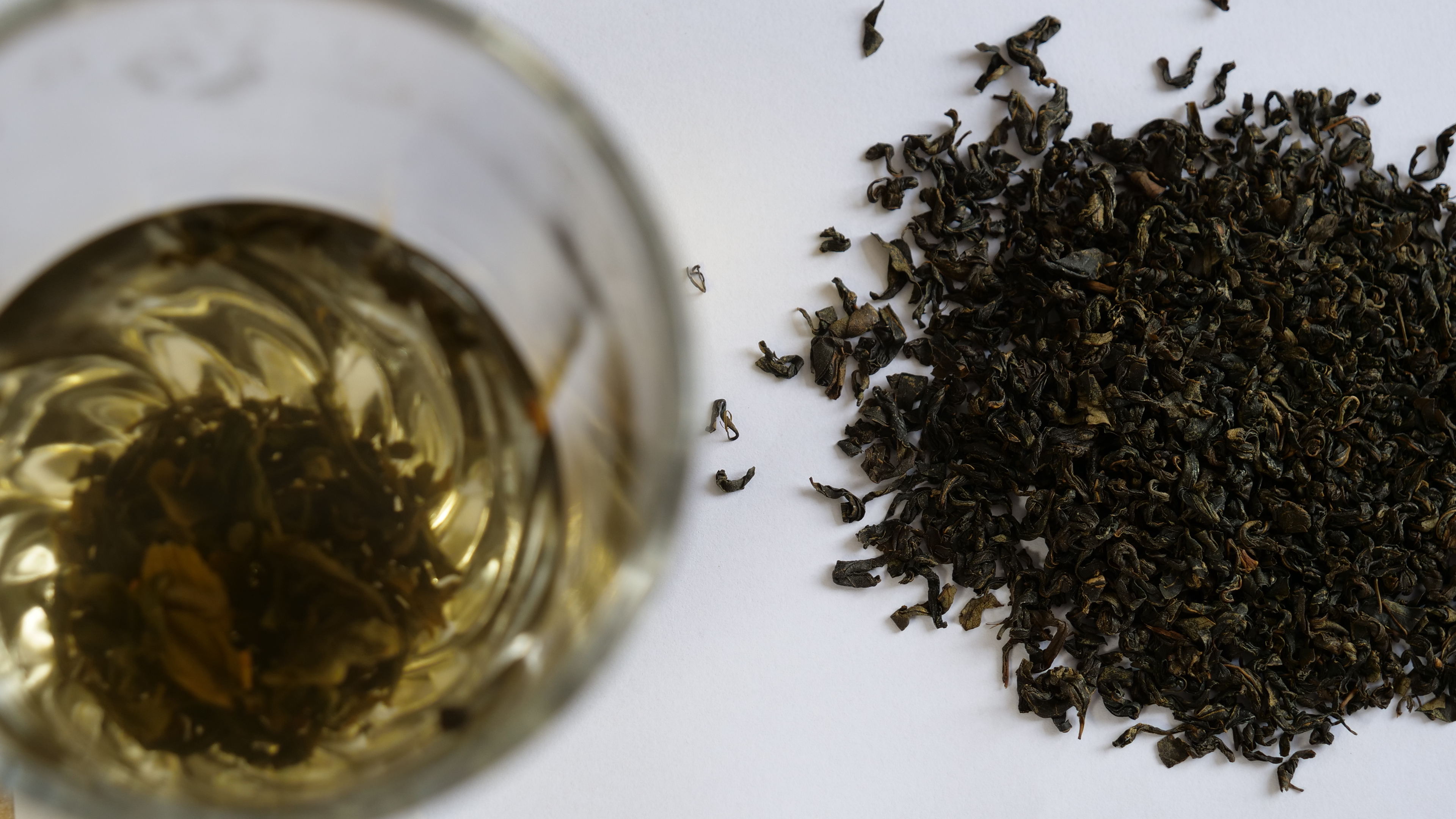 豆腐樹圖片/豆腐樹樣板圖 (3)