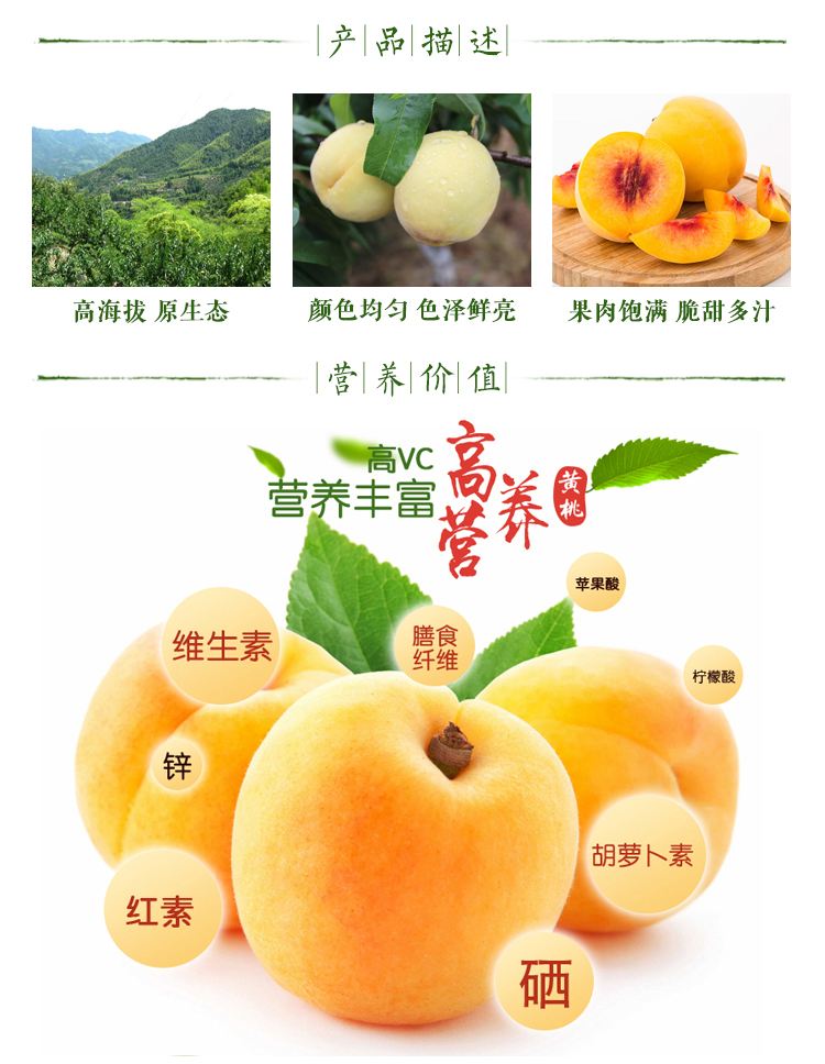 炎陵養(yǎng)生黃桃圖片/炎陵養(yǎng)生黃桃樣板圖 (4)