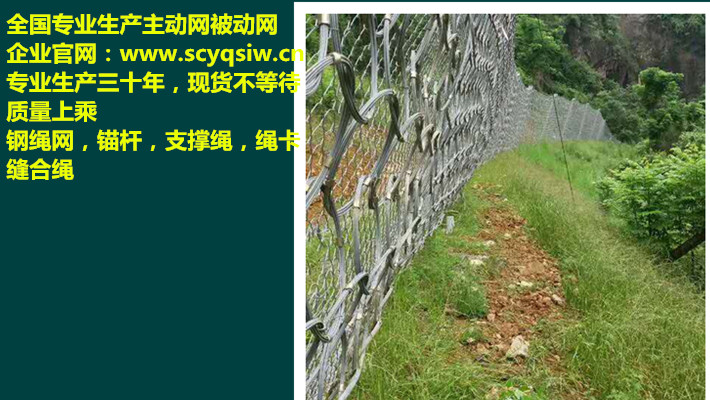 被動(dòng)防護(hù)網(wǎng)RXI075圖片