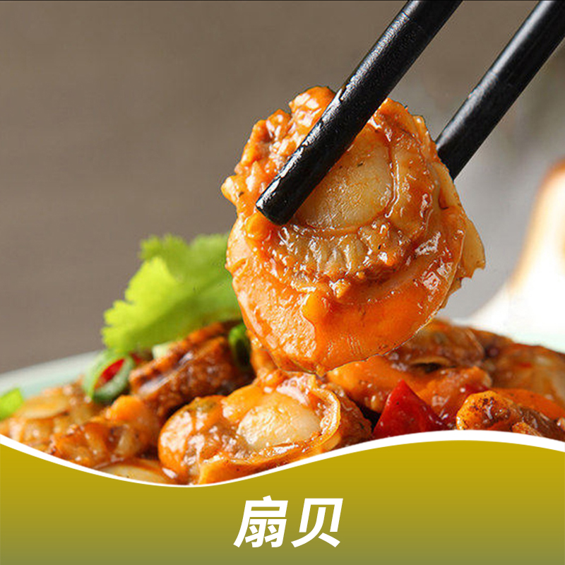 長(zhǎng)沙扇貝圖片/長(zhǎng)沙扇貝樣板圖 (4)