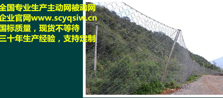 被動網(wǎng)圖片/被動網(wǎng)樣板圖 (4)