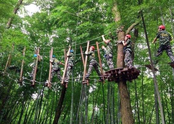 江蘇南京叢林穿越叢林穿越設(shè)備安裝-廠家專業(yè)施工