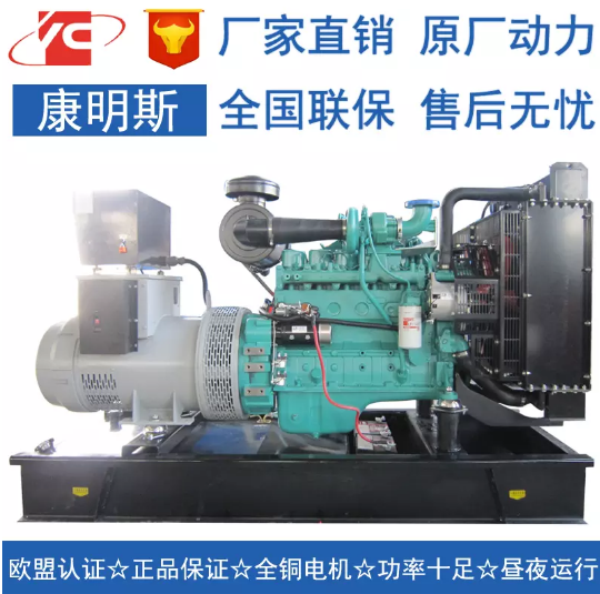 20發(fā)電機(jī)圖片/20發(fā)電機(jī)樣板圖 (2)
