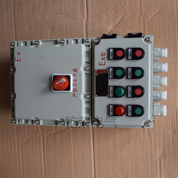 防爆控制柜圖片/防爆控制柜樣板圖 (2)