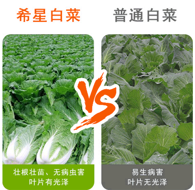 復(fù)合微生物肥料圖片/復(fù)合微生物肥料樣板圖 (4)