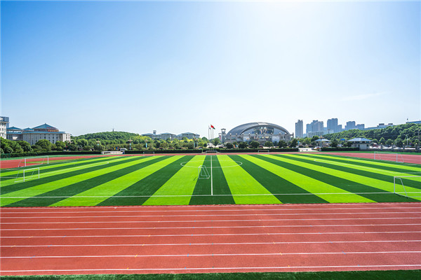 人工草足球场铺设，专业足球场施工建设厂家