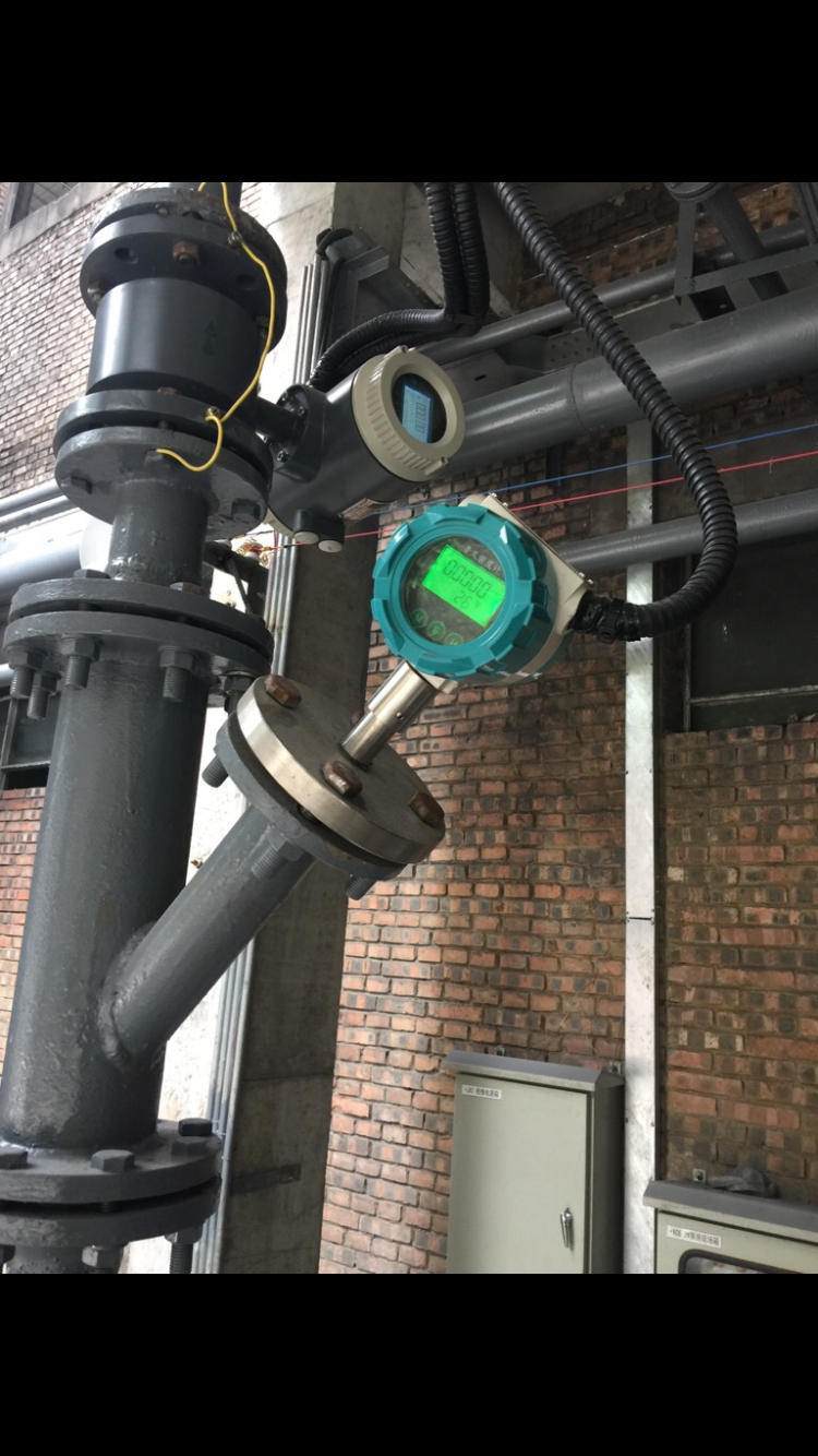 直插式在線液體密度計(jì)圖片/直插式在線液體密度計(jì)樣板圖 (4)