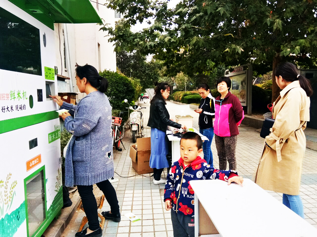 碾米機(jī)圖片/碾米機(jī)樣板圖 (4)