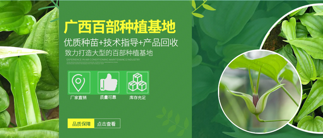 百部圖片/百部樣板圖 (4)