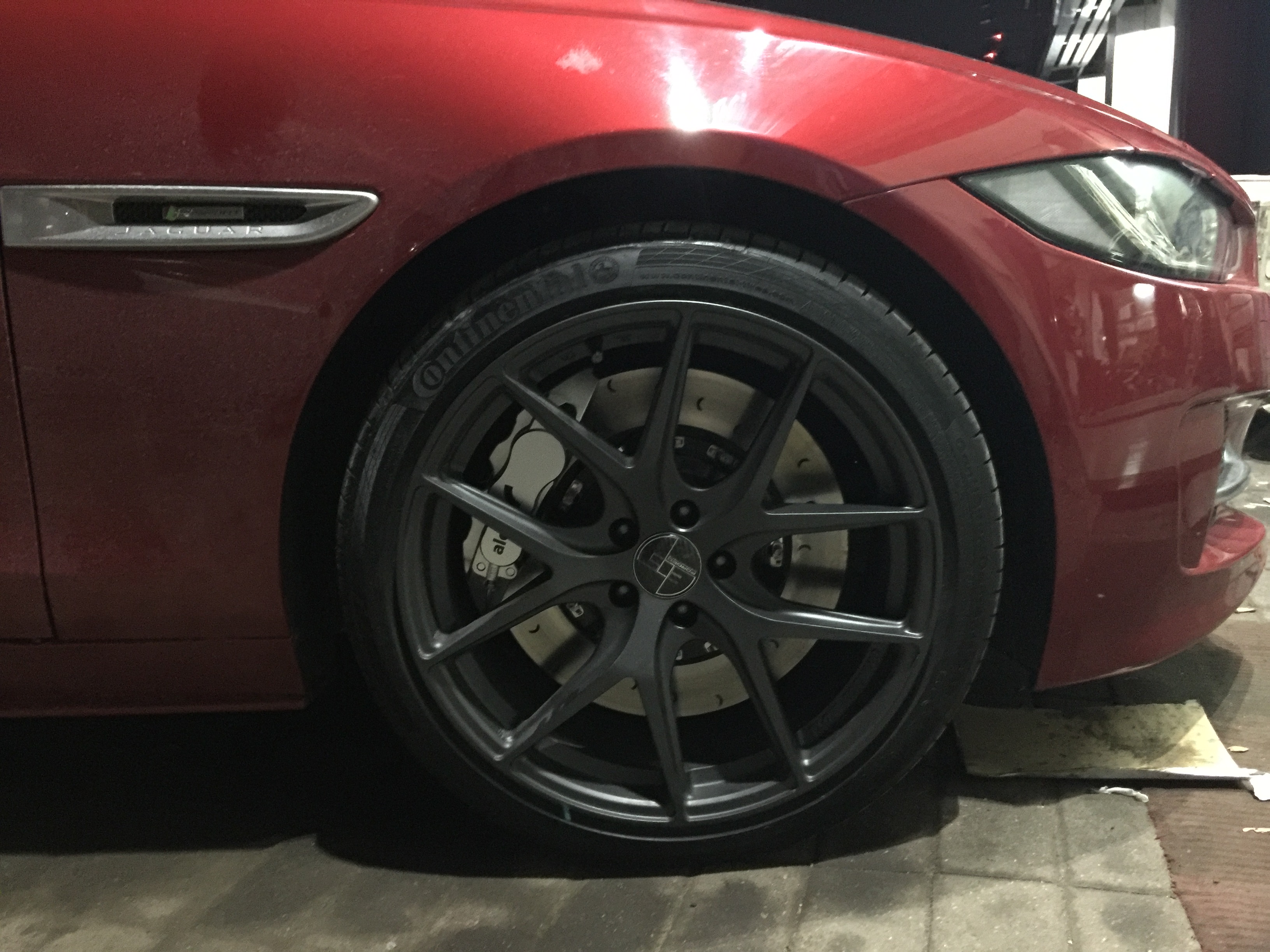 Brembo鮑魚圖片/Brembo鮑魚樣板圖 (1)