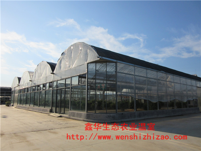薄膜溫室圖片/薄膜溫室樣板圖 (3)