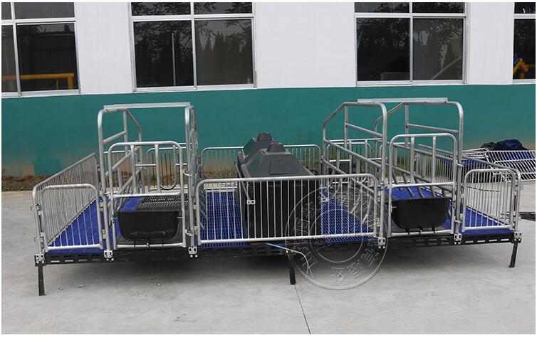 母豬產(chǎn)床單雙體母豬分娩床分娩欄圖片