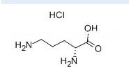 D-Ornithine mono图片