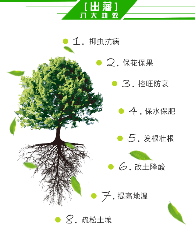 復(fù)合微生物肥料圖片/復(fù)合微生物肥料樣板圖 (4)