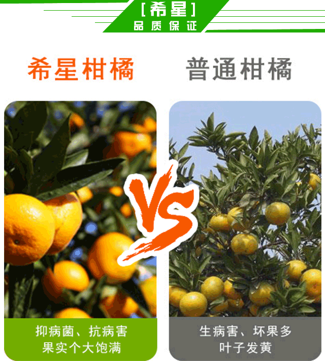 出藩高氮型有機(jī)無(wú)機(jī)復(fù)合微生物肥料