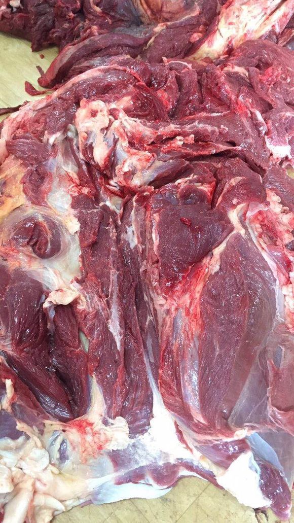 蒙古馬肉圖片/蒙古馬肉樣板圖 (2)