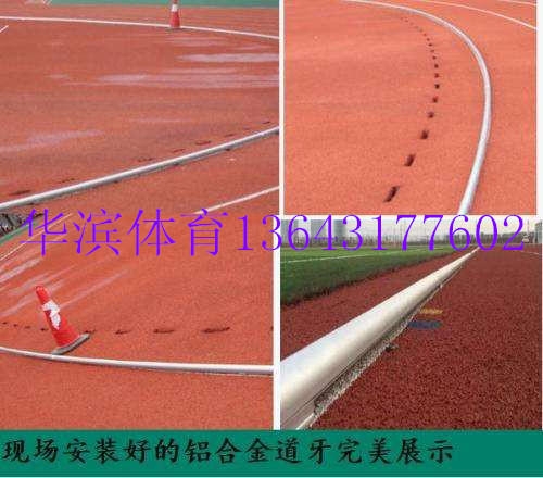 鋁合金場地道牙圖片/鋁合金場地道牙樣板圖 (2)