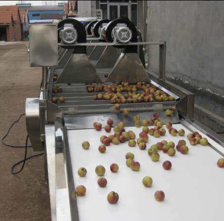 醬菜圖片/醬菜樣板圖 (2)