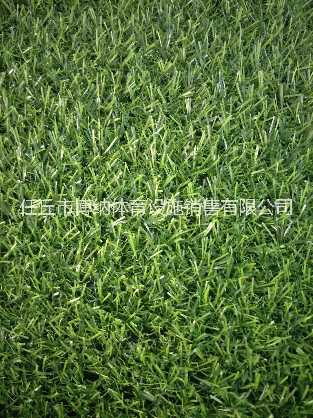 人造草坪圖片/人造草坪樣板圖 (3)