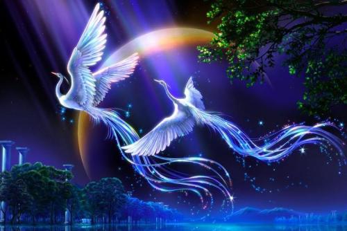 家庭隱形畫施工 會所隱形畫施工圖片/家庭隱形畫施工 會所隱形畫施工樣板圖 (4)