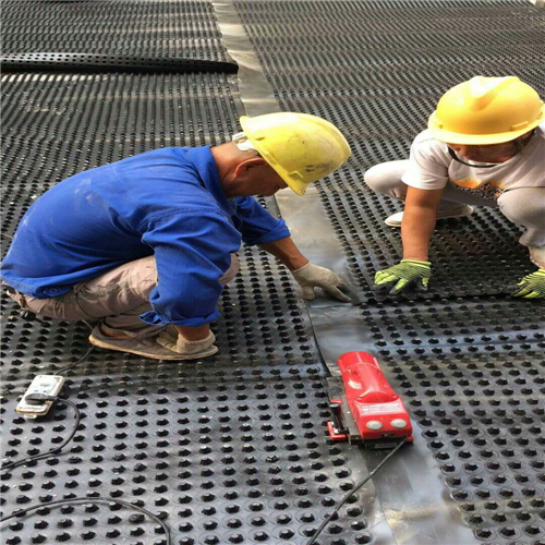 車庫塑料排水板圖片/車庫塑料排水板樣板圖 (3)