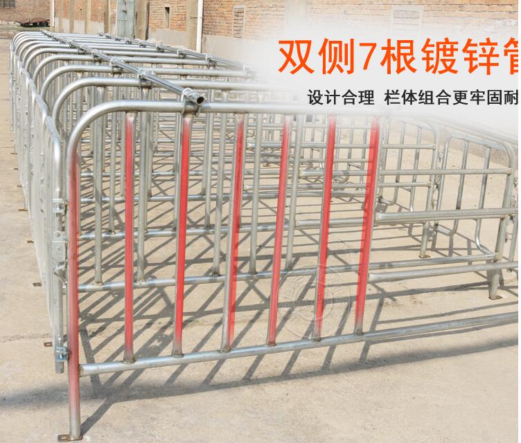 母豬限位欄圖片/母豬限位欄樣板圖 (2)