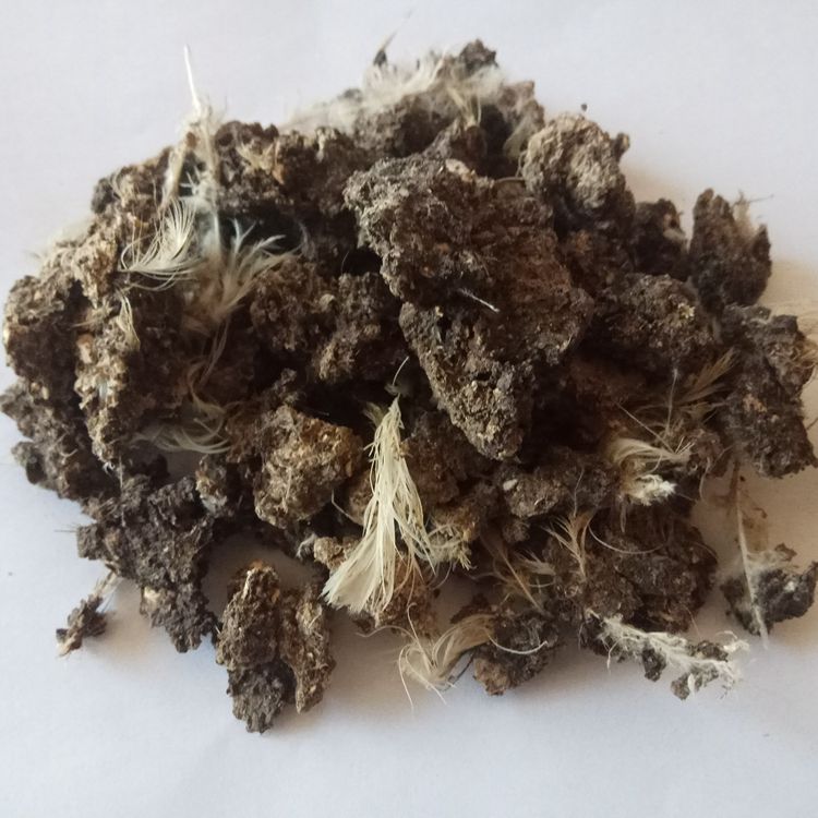 干雞糞塊有機(jī)肥圖片/干雞糞塊有機(jī)肥樣板圖 (3)