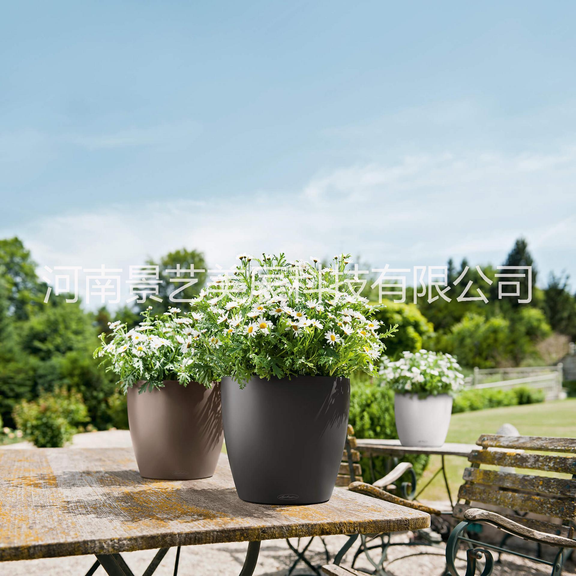 高光矮胖圓型JY-05圖片/高光矮胖圓型JY-05樣板圖 (2)