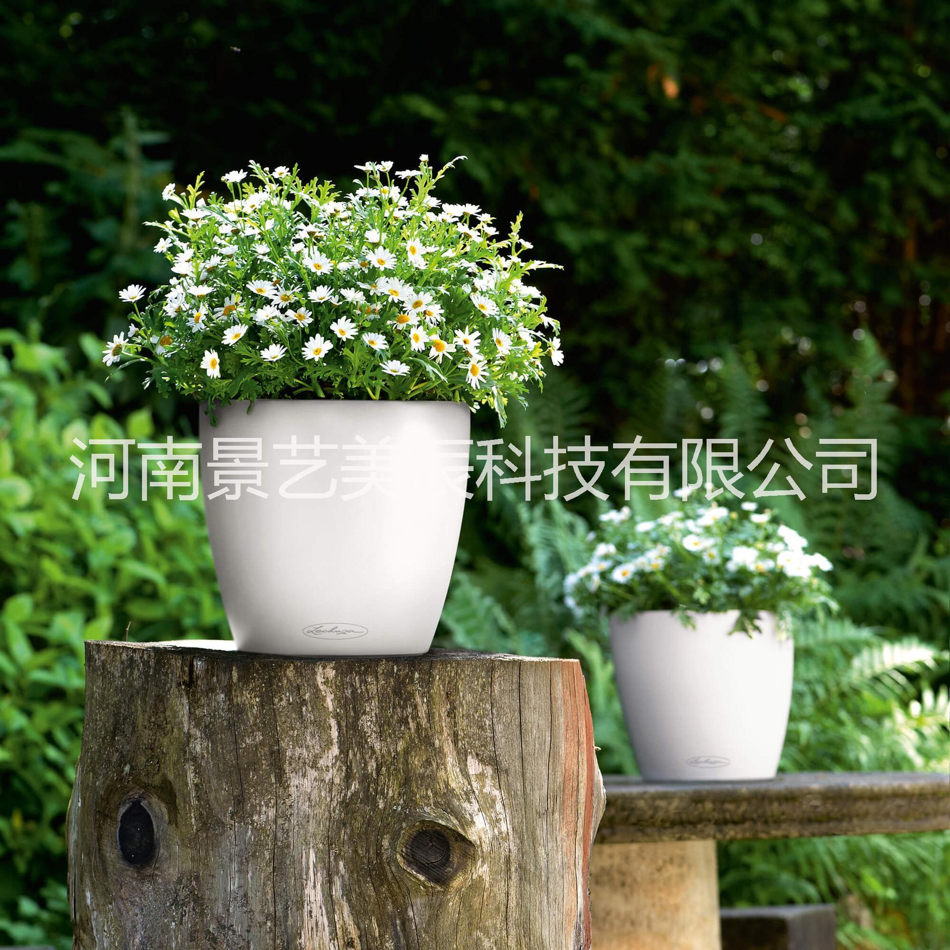 高光矮胖圓型JY-05圖片