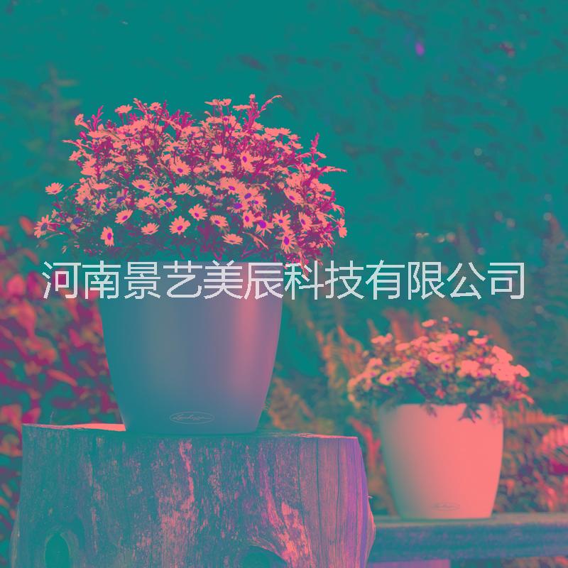 高光矮胖圓型JY-05圖片/高光矮胖圓型JY-05樣板圖 (3)