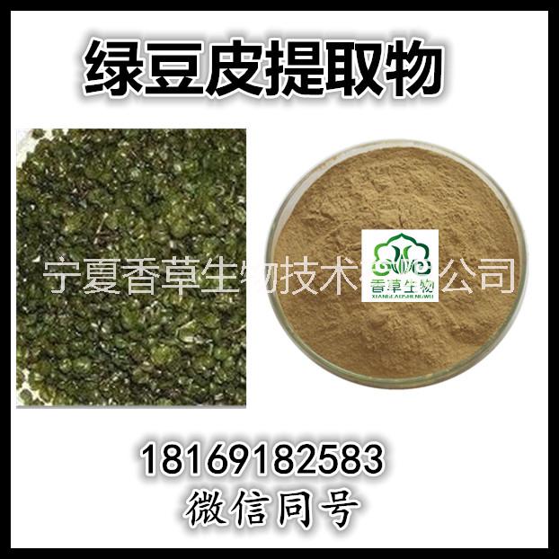 绿豆皮提取物 绿豆衣粉图片